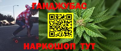 сатива Лесосибирск