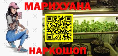 сатива Лесосибирск