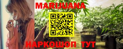 сатива Лесосибирск